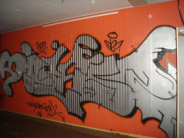 DSC00894