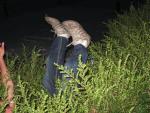 img 195