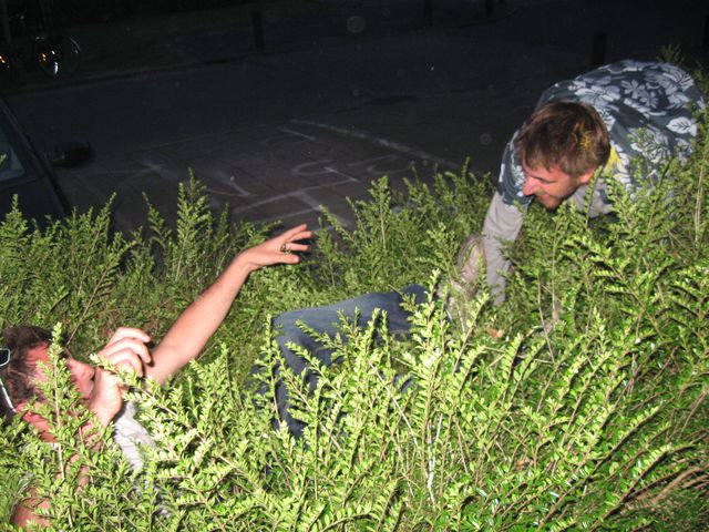 img 196