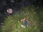 img 198